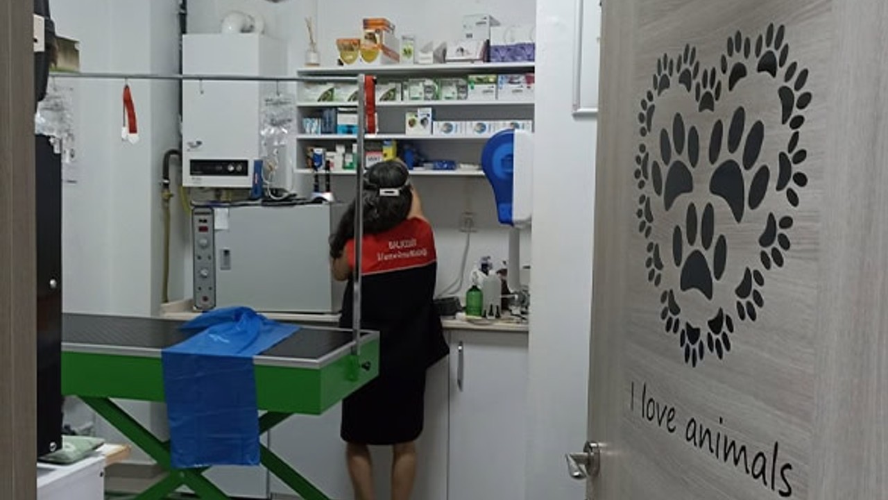 Altıeylül’de Veteriner Kliniklerine Yıl Boyu Denetim
