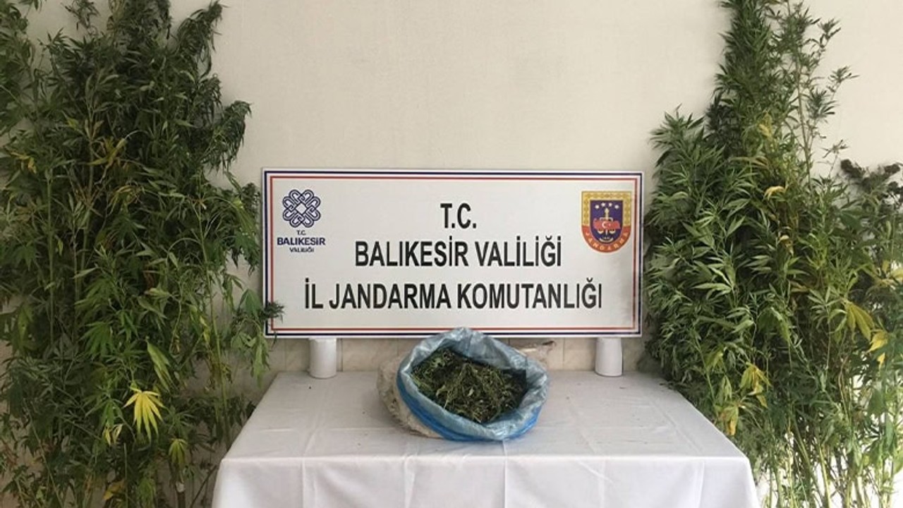 Bandırma’da Uyuşturucu Operasyonu