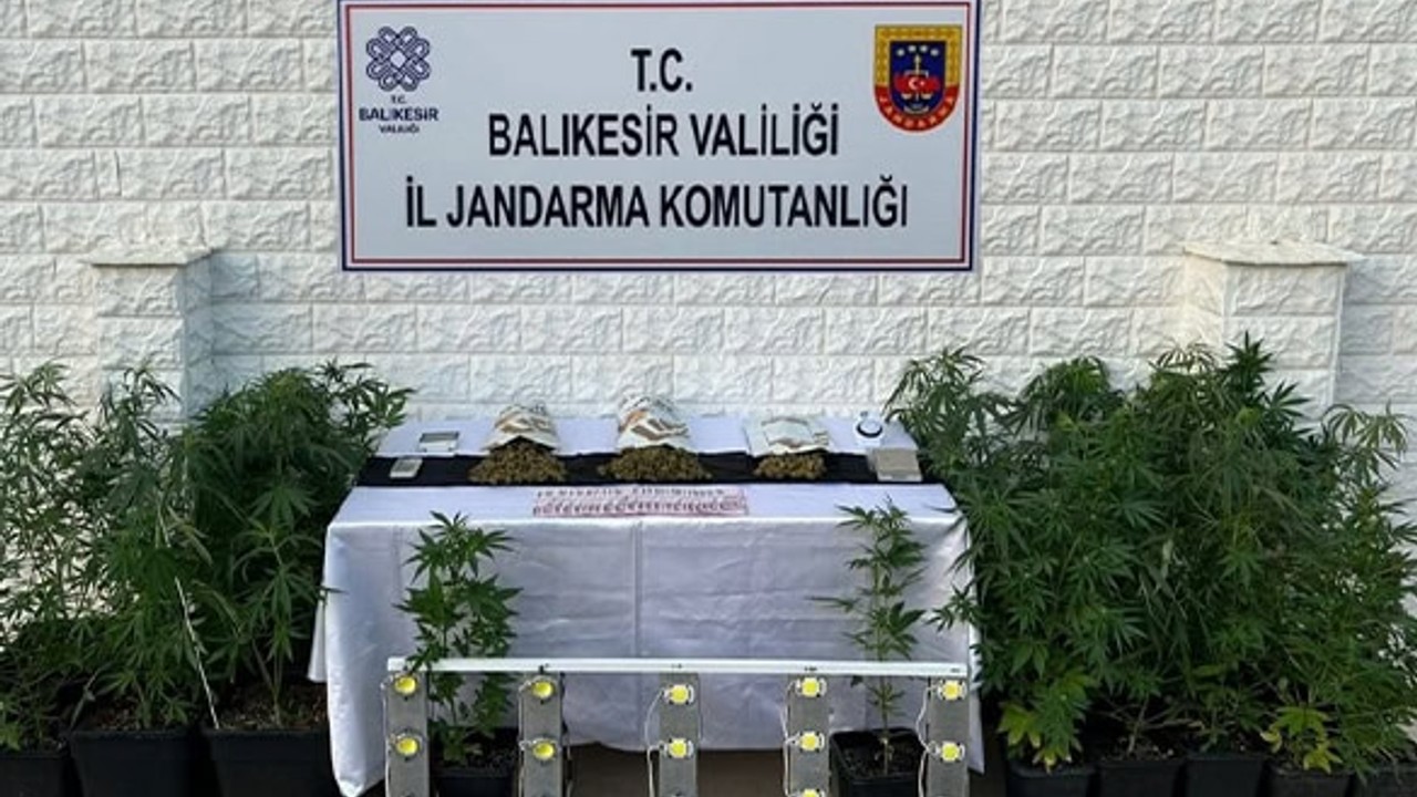 Gömeç'te Uyuşturucu Operasyonu