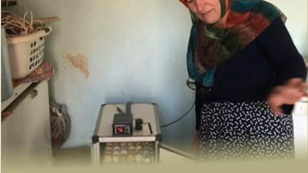 Sıfırdan Başladı, Yüzlerce Ürünle Hayatı Değişti
