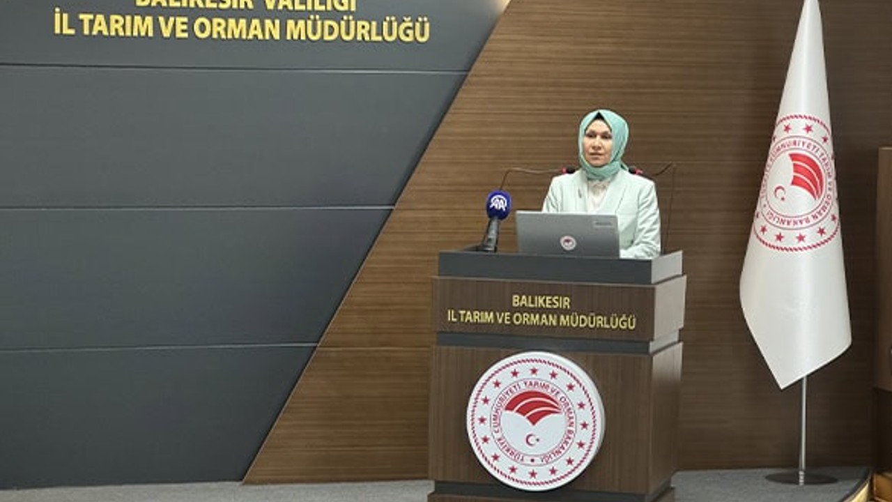Kuzey Ege Havzası Havza Su Kurulu Toplantısı Yapıldı