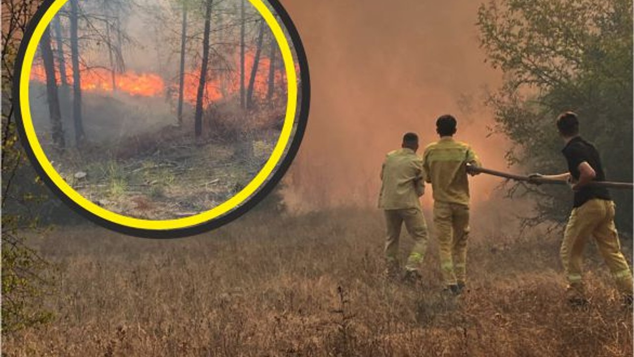 Son Dakika İki İlçe Arasında Yangın Çıktı