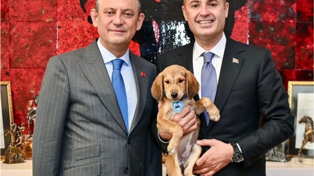 Özgür Özel Balıkesir'den Köpek Sahiplendi