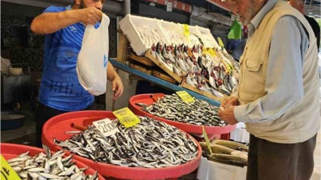 Balıkesir'de Av Yasağı Kalktı Tezgahlar Doldu!