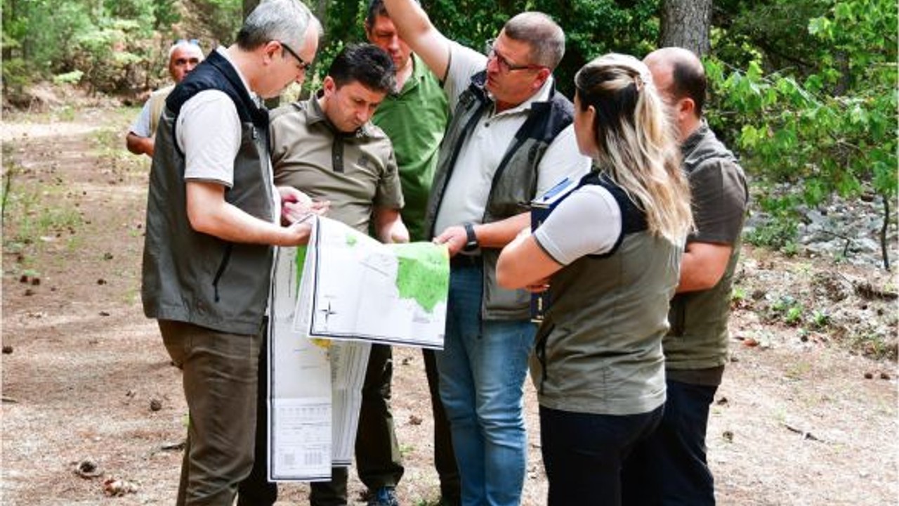 Kazdağları'nda Yangın Direnci Artıyor