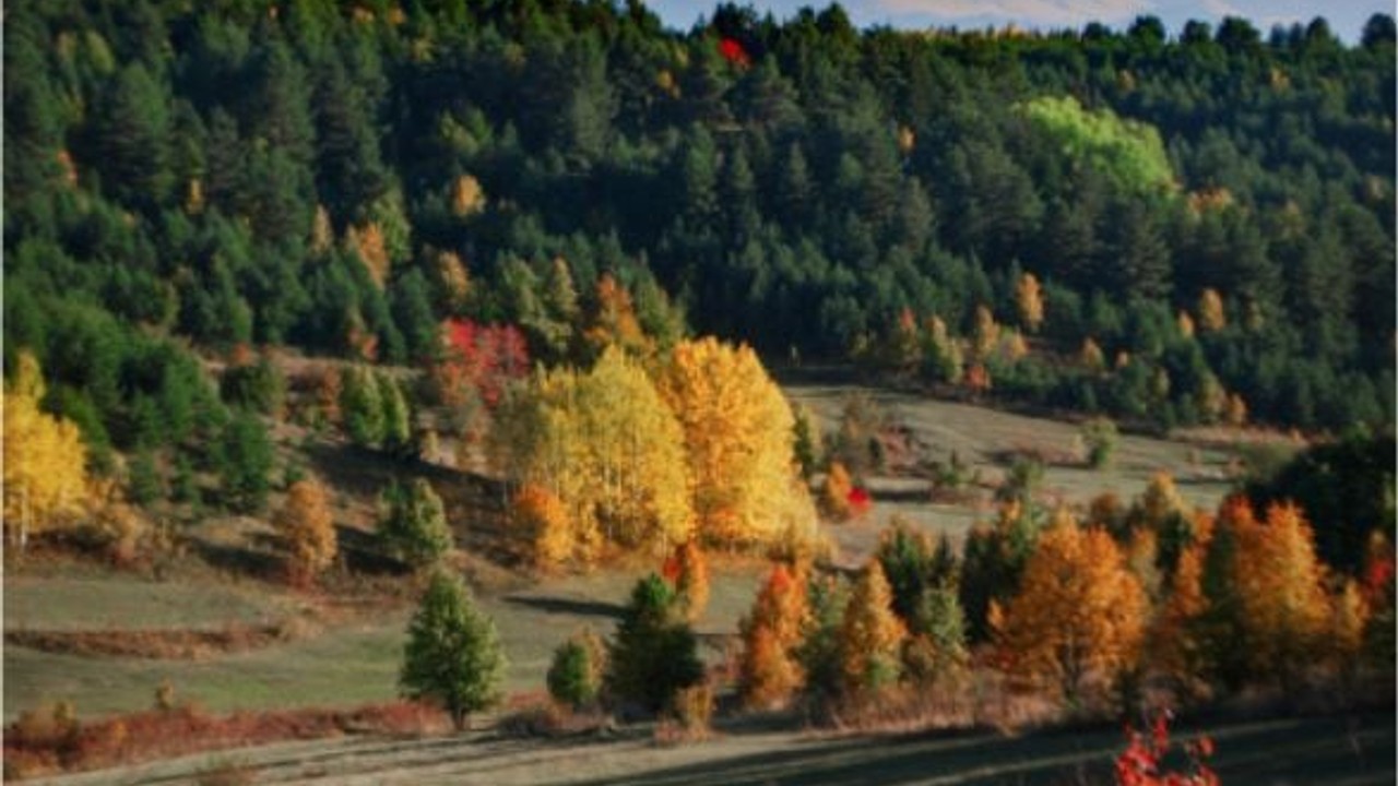 Balıkesir’in Doğası ve Sonbahar Burçları