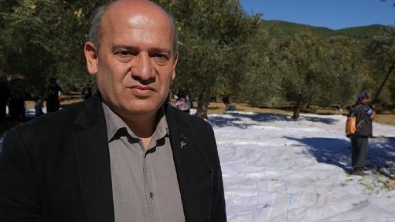 Ahmet Çetin Açıkladı! Zeytinyağı Neden Pahalı?