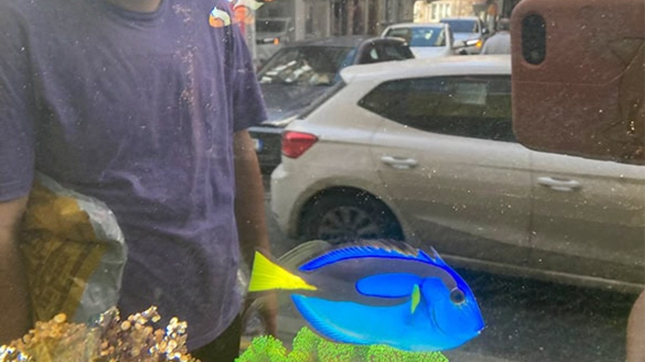 Balıkesir’de Kayıp Balık Nemo ve Dori Görüldü!