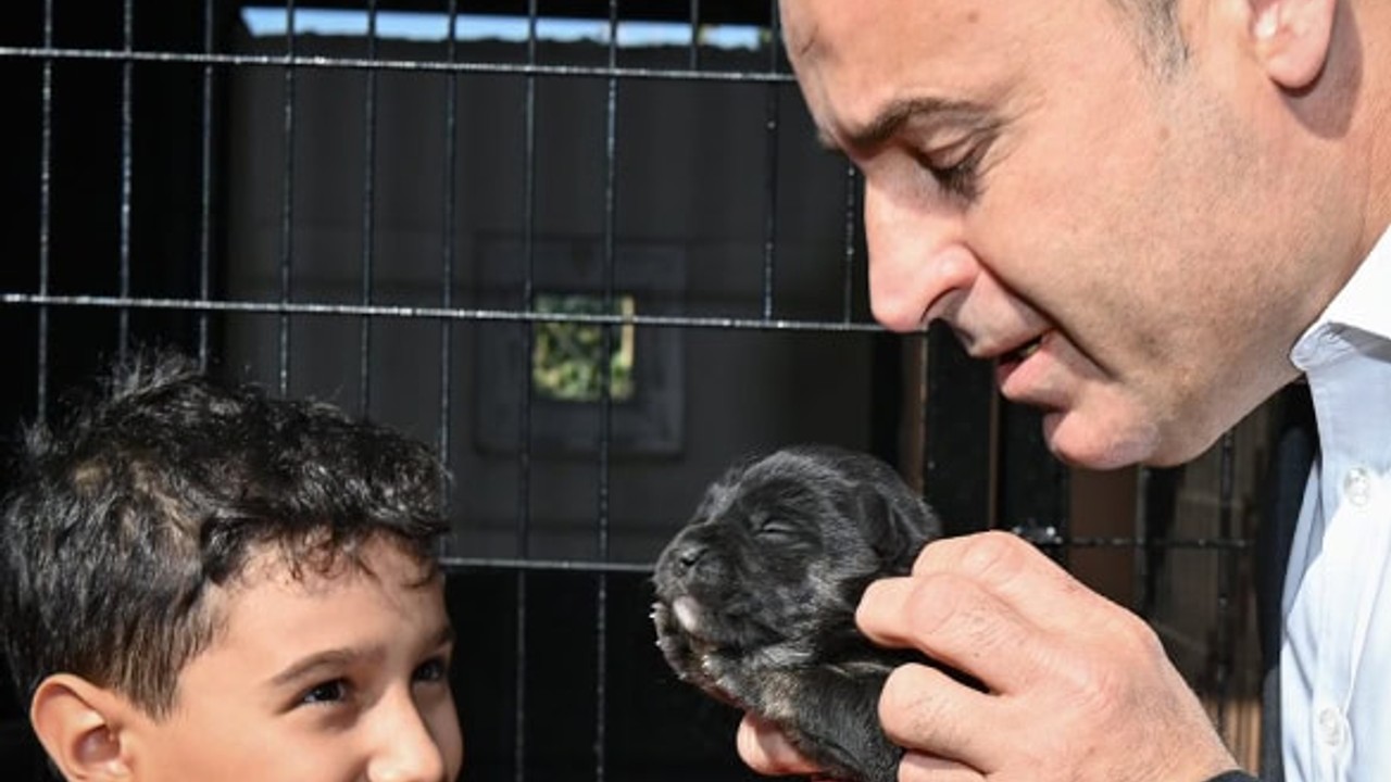 Başkan Akın'dan Hayvan Hakları İçin Önemli Proje