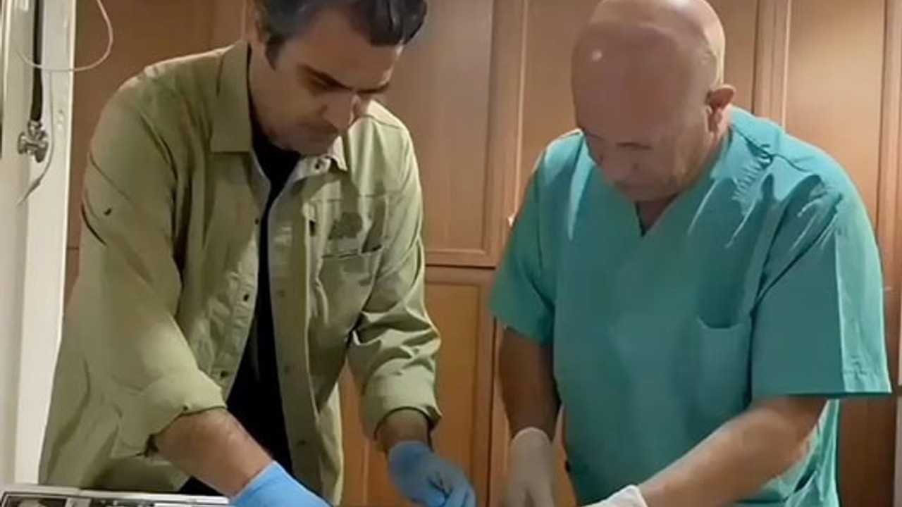 Edremit’te Nadir Görülen Bıldırcın Kılavuzu Kuşu Tedavi Edildi