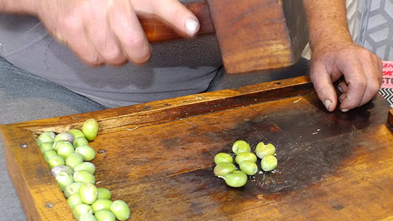 Erdek’te Dededen Kalma Kırma Zeytin Geleneği
