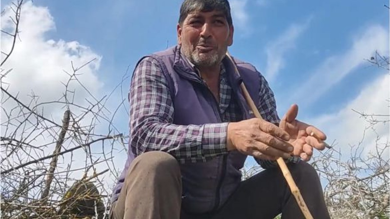 Balıkesir’de Çobanların Bir Günü Nasıl Geçiyor?
