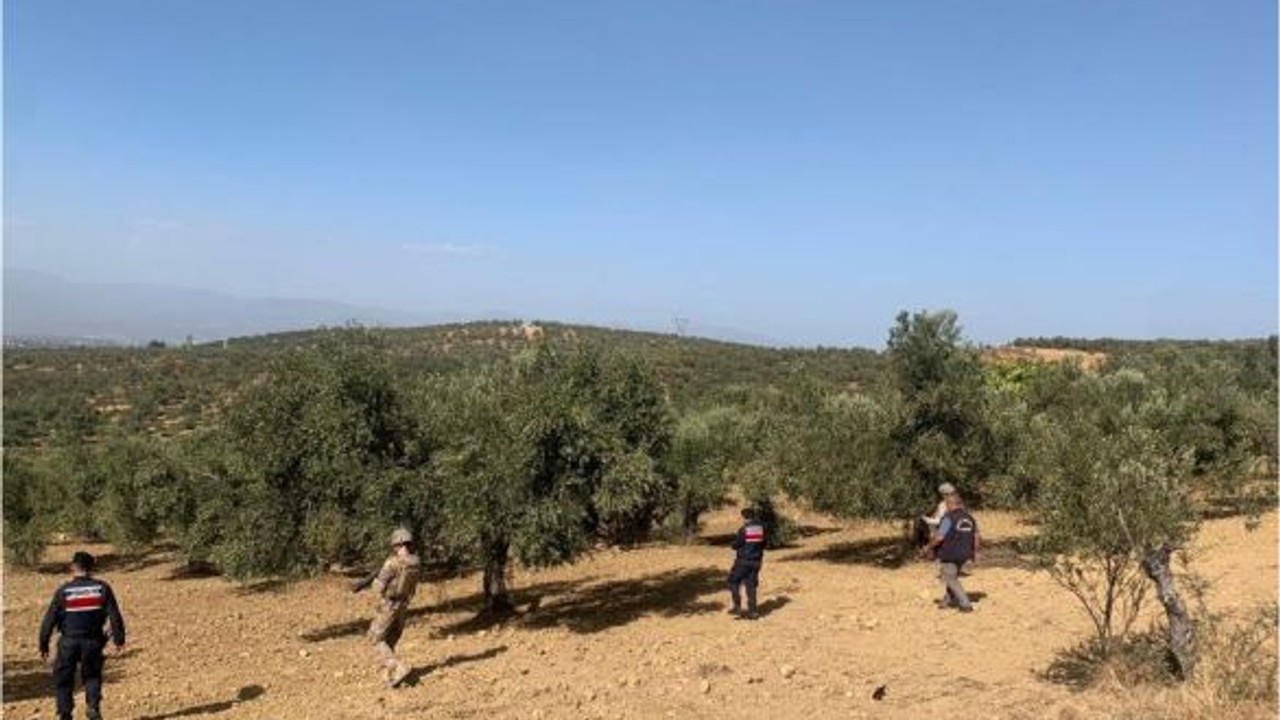 Jandarma Zeytinliklerde Devriye Geziyor