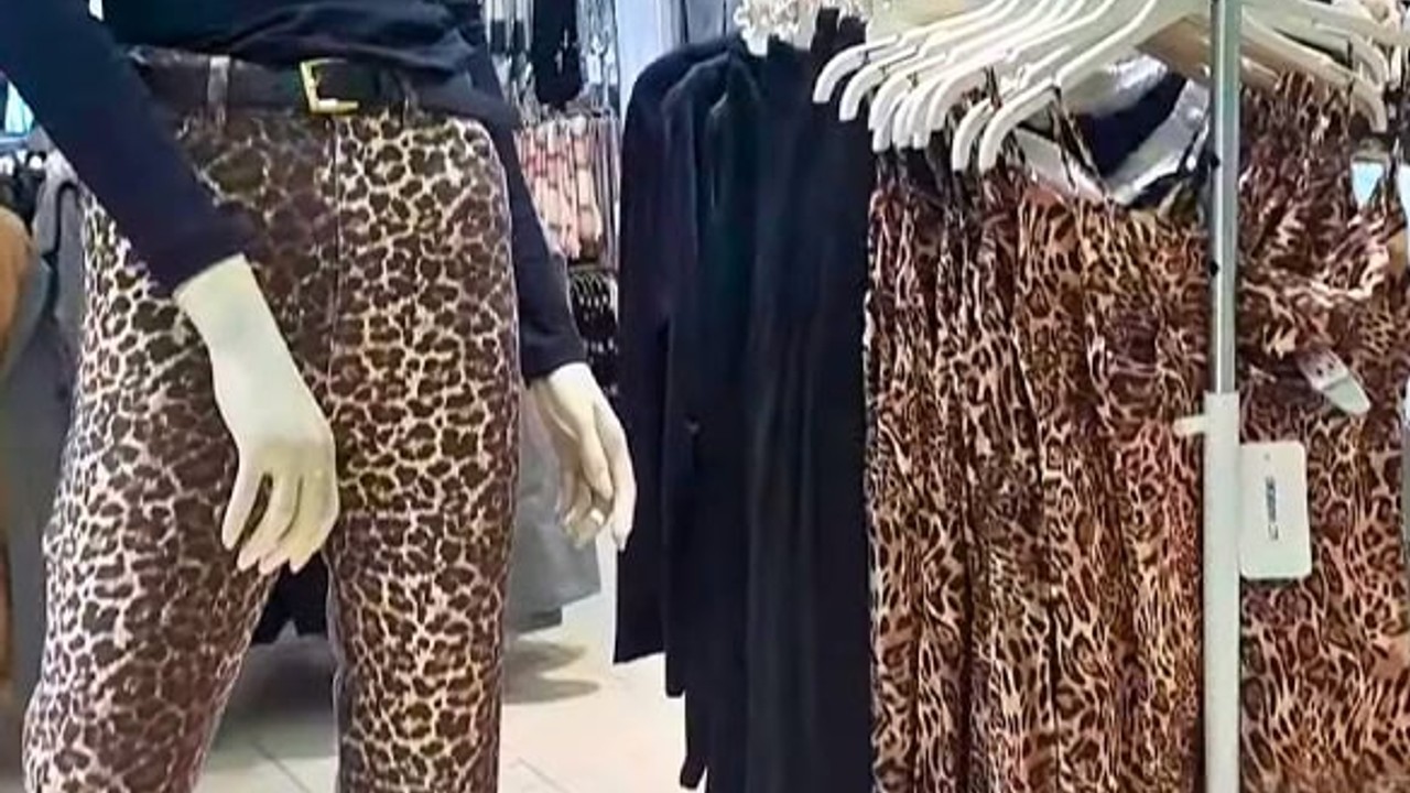Balıkesir’de Sokaklar Leoparın Pençesinde! Uzmanı Anlatıyor