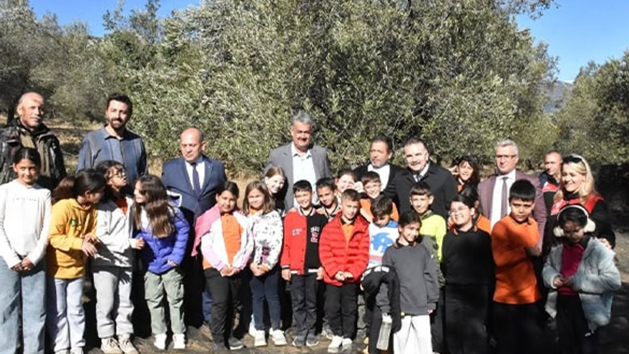 Edremit'te Çocuklar Zeytinyağının Yolculuğuna Tanıklık Etti