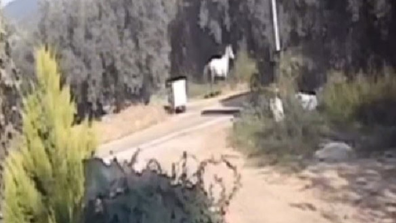 Erdek’te Motosiklet Başıboş Ata Çarptı Mucize Kurtuluş
