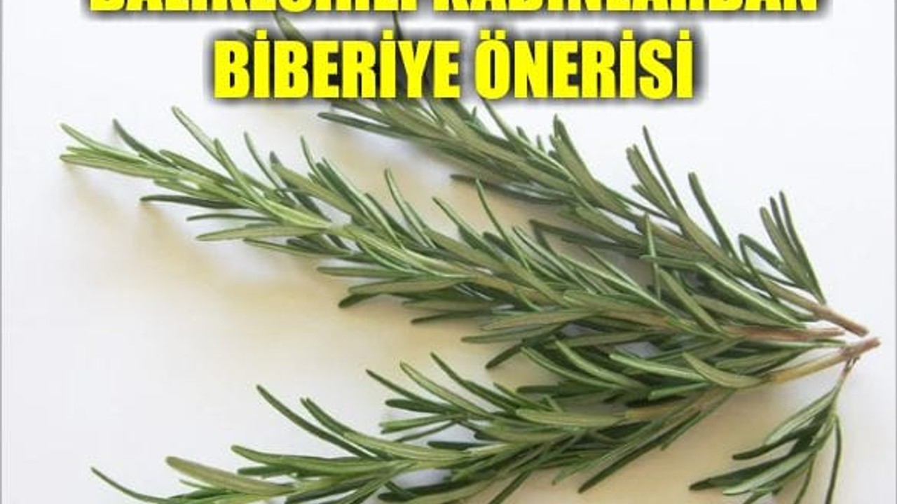 Biberiye Yağını Kullanmanız İçin 5 Sebep