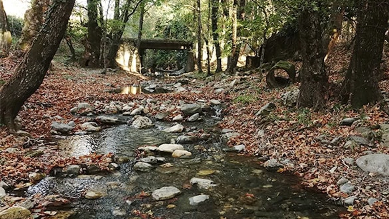 Kazdağları'nda Sonbaharın Renk Cümbüşü Büyülüyor
