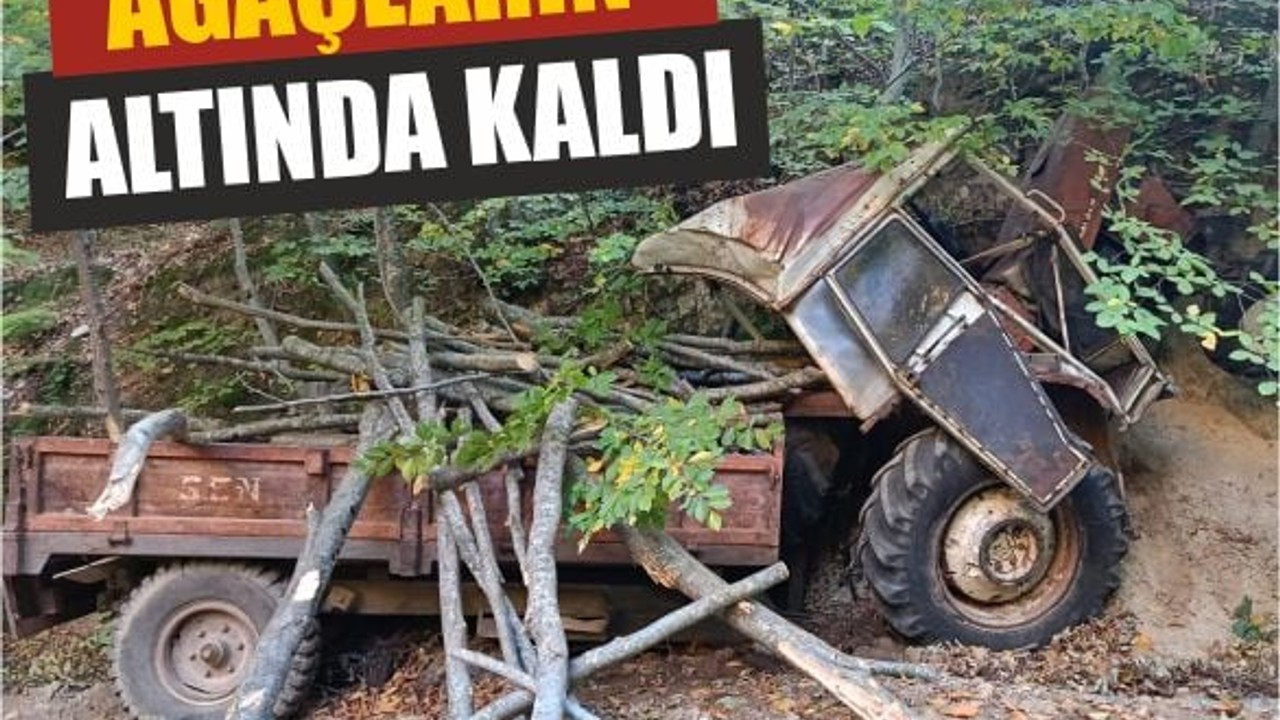 Ağaçların Altında Kalan Araçta Can Pazarı