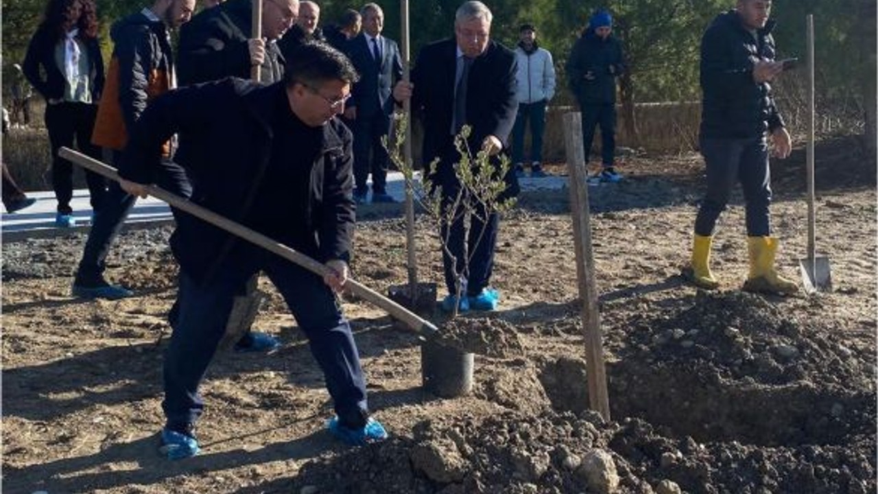 BAÜN'de Zeytin Fidanları Toprakla Buluştu