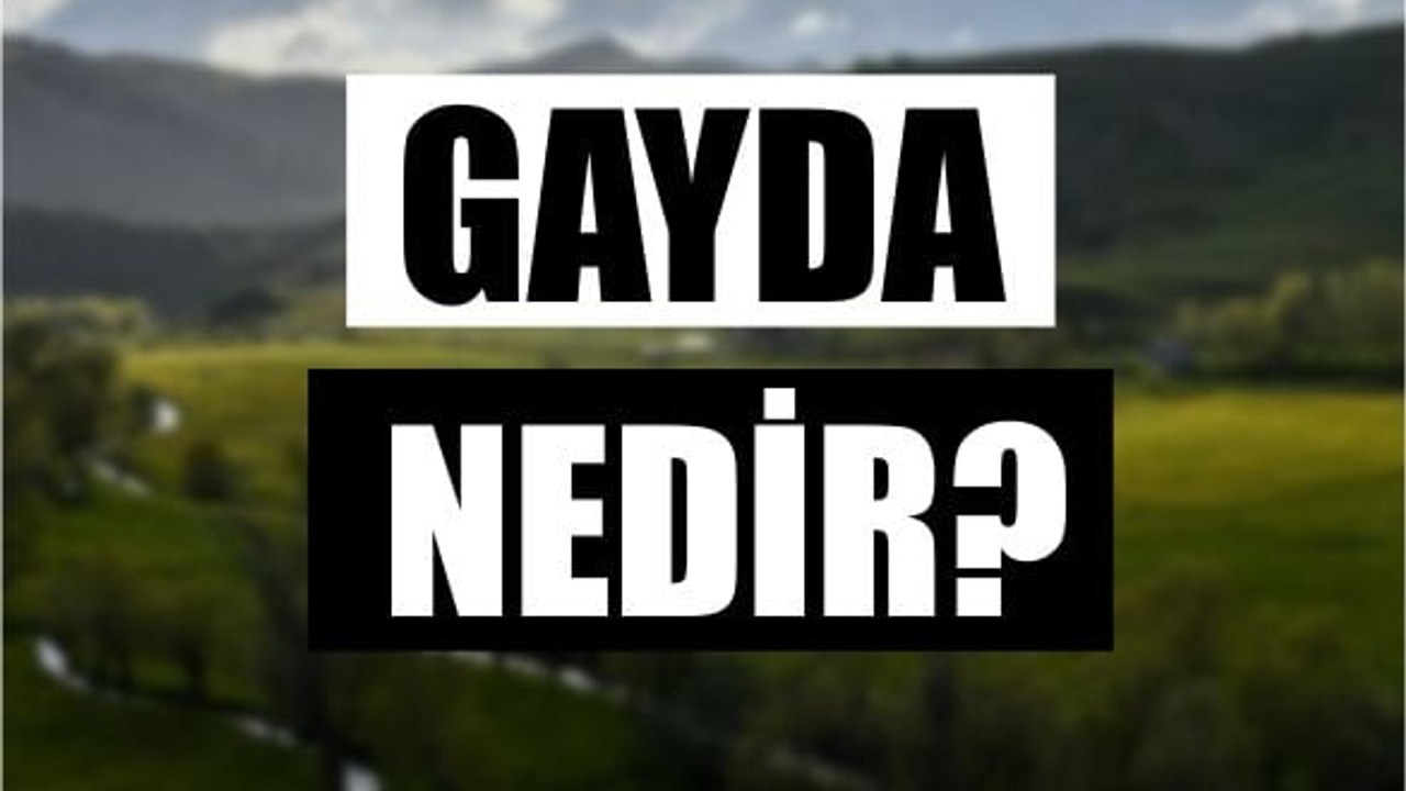 Gayda Nedir?