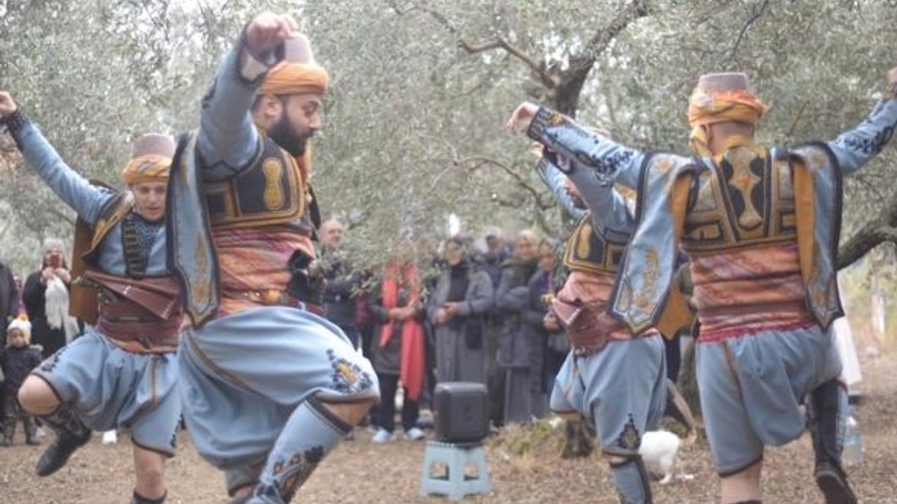 Halk Oyunları Zeytin Hasat Şenliklerine Damga Vurdu