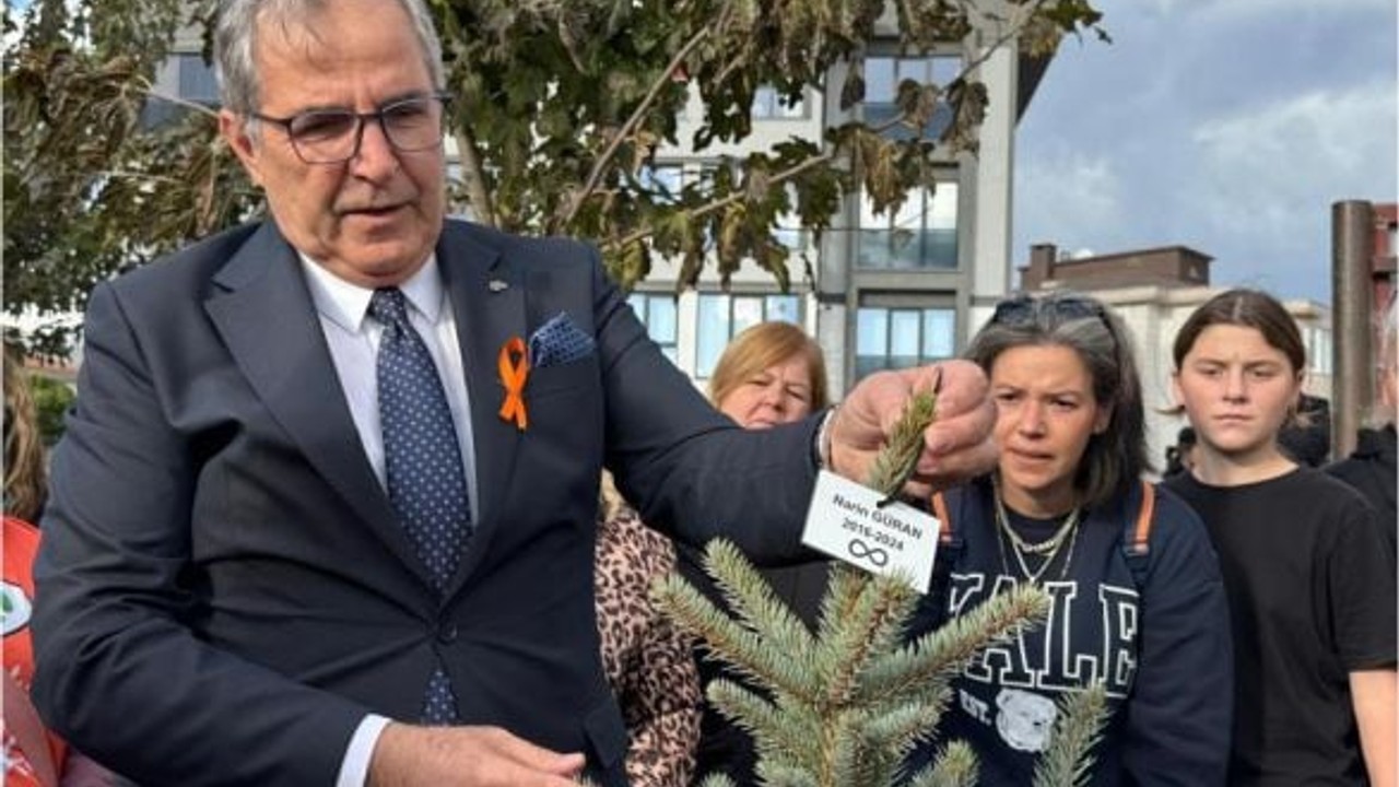406 Solan Hayata 406 Fidan