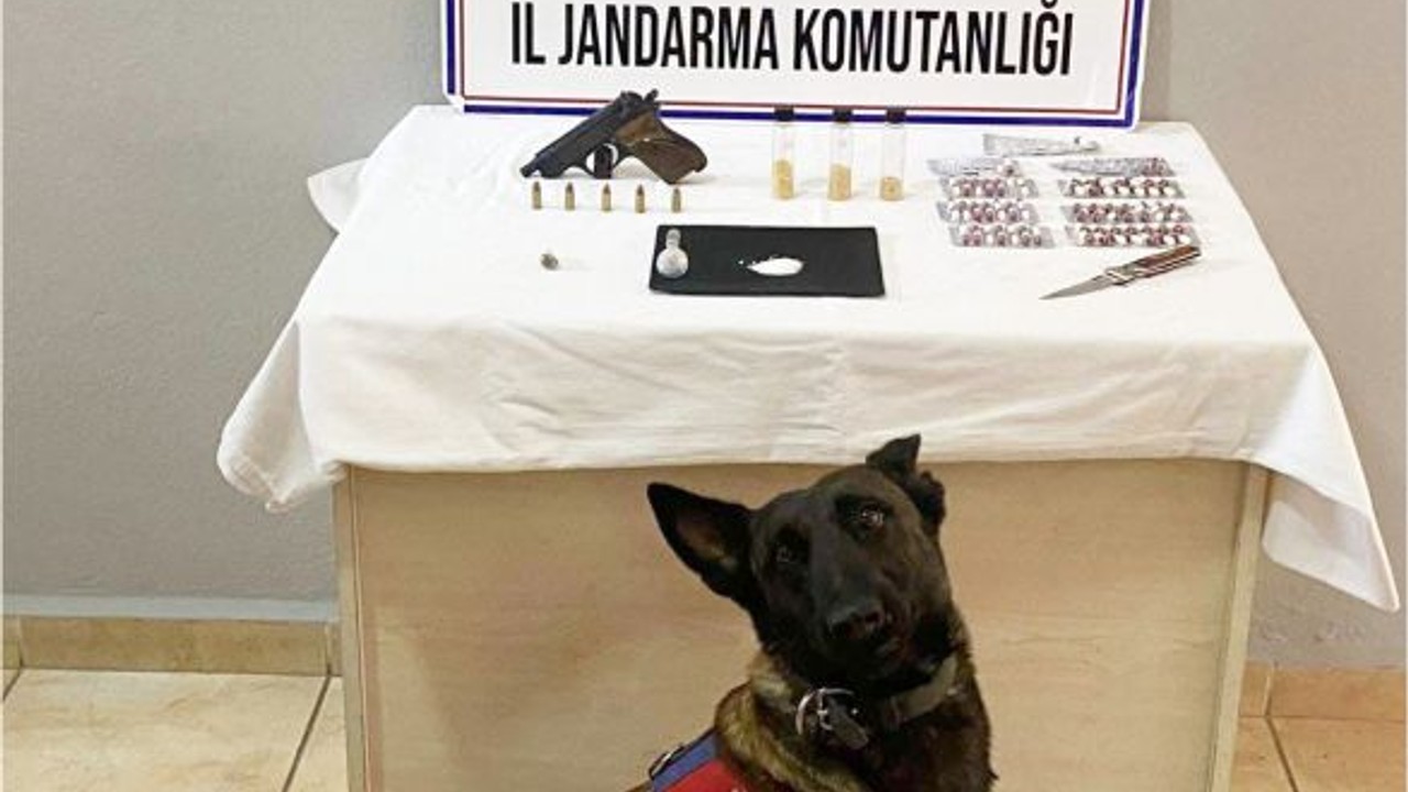 8 Adrese Eş Zamanlı Operasyon!