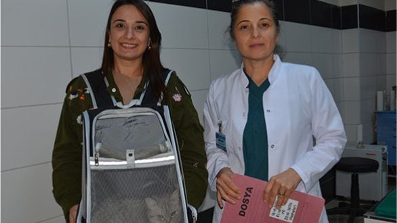 Türkiye'de İlk Kez Balıkesir'de Uygulandı! Sağlığına Kavuştu