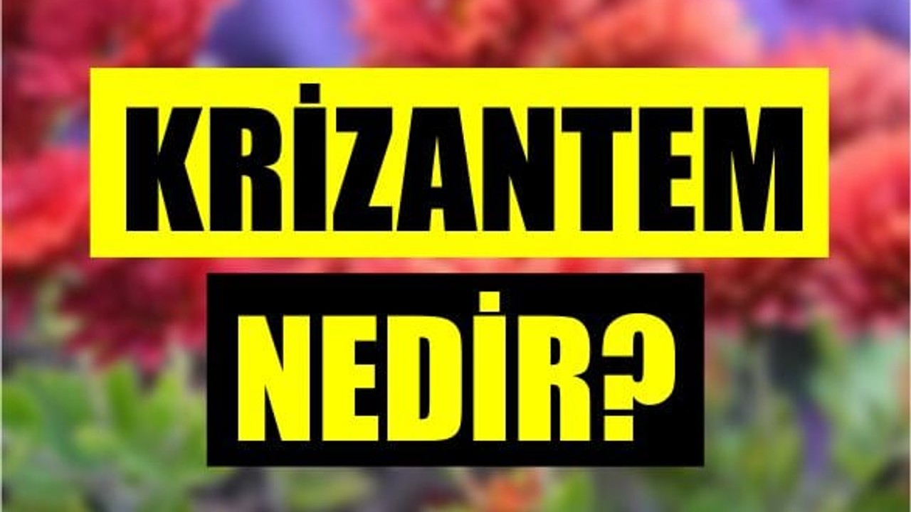 Evinizde Bulunmaması Gereken Tehlikeler