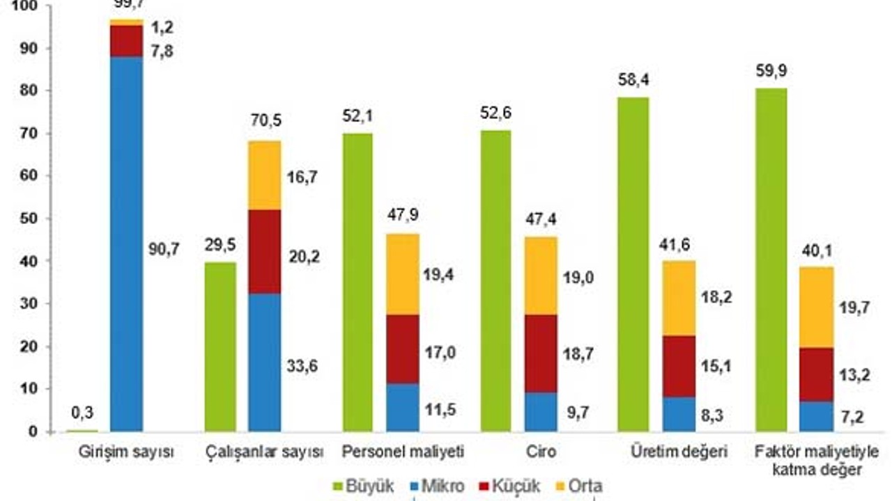 2023 Küçük ve Orta Büyüklükteki Girişim İstatistikleri Açıklandı
