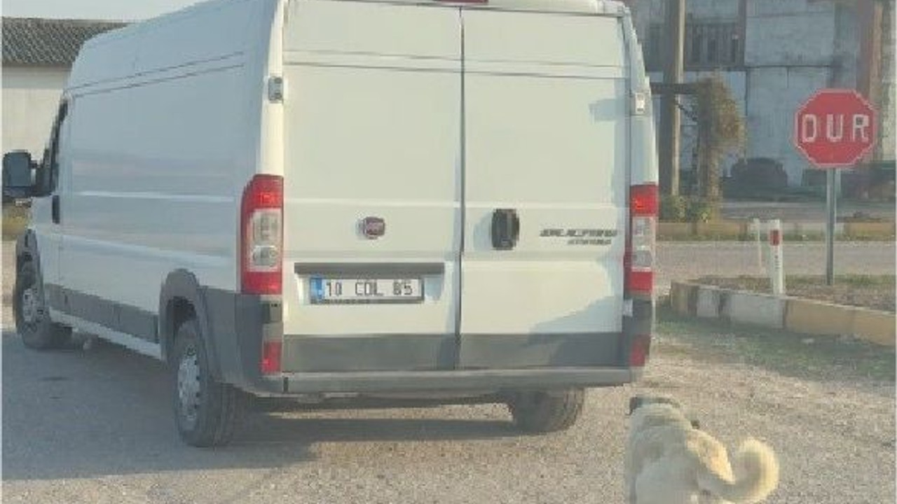 Gönen’de Dehşet! Köpeği Kamyonetin Arkasında Sürüklediler