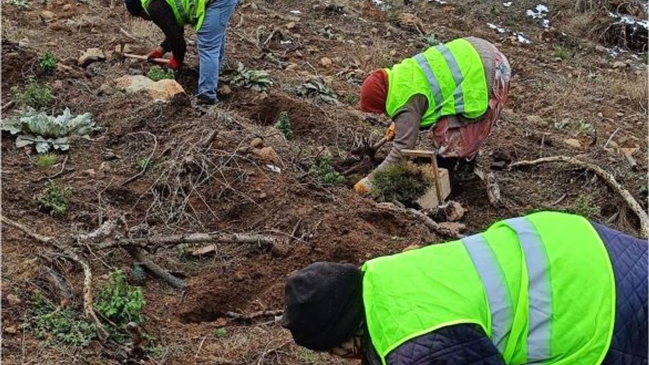 Bigadiç’te Beyaza Bürünen Toprağa Ektiler