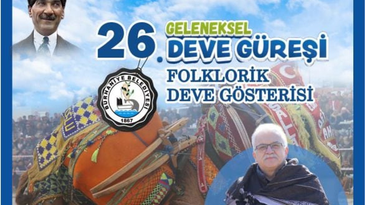 Pelitköy’de Geleneksel Deve Güreşleri Başlıyor