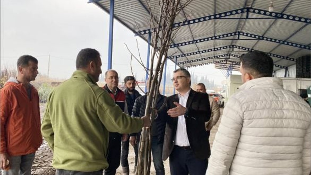 Balıkesir’de Ceviz Fidanı Üretimine Yeni Projeler