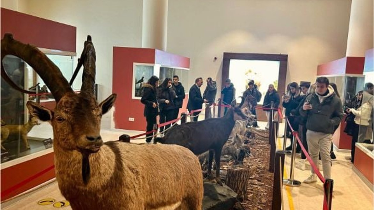 Marmara Adalar'dan Başkente
