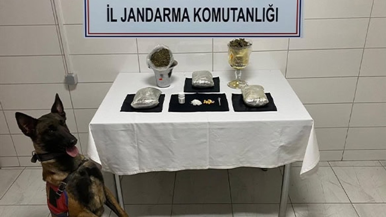 Edremit'te Yolcu Otobüsünde Uyuşturucu Operasyonu