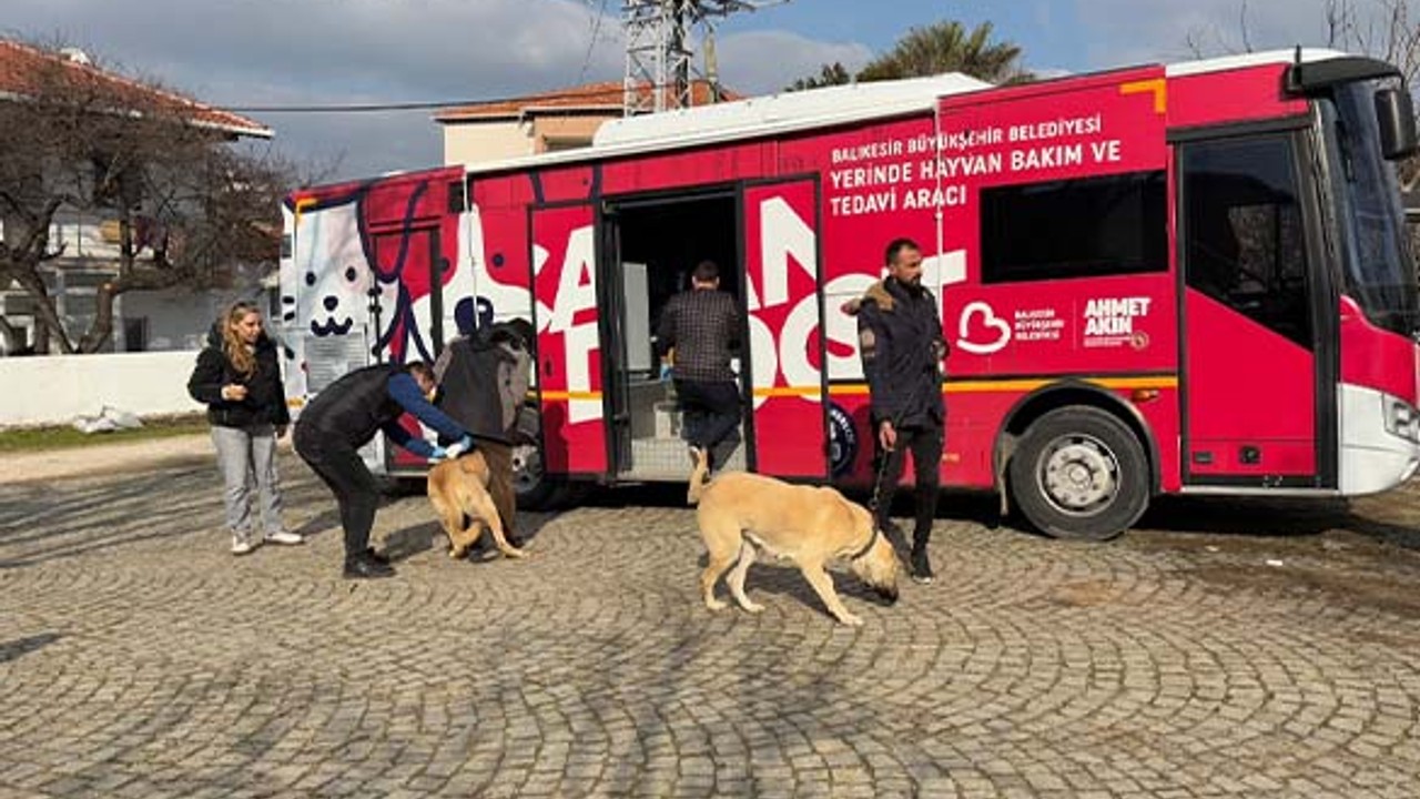 Paşa Limanında 5 Mahallede Tarama