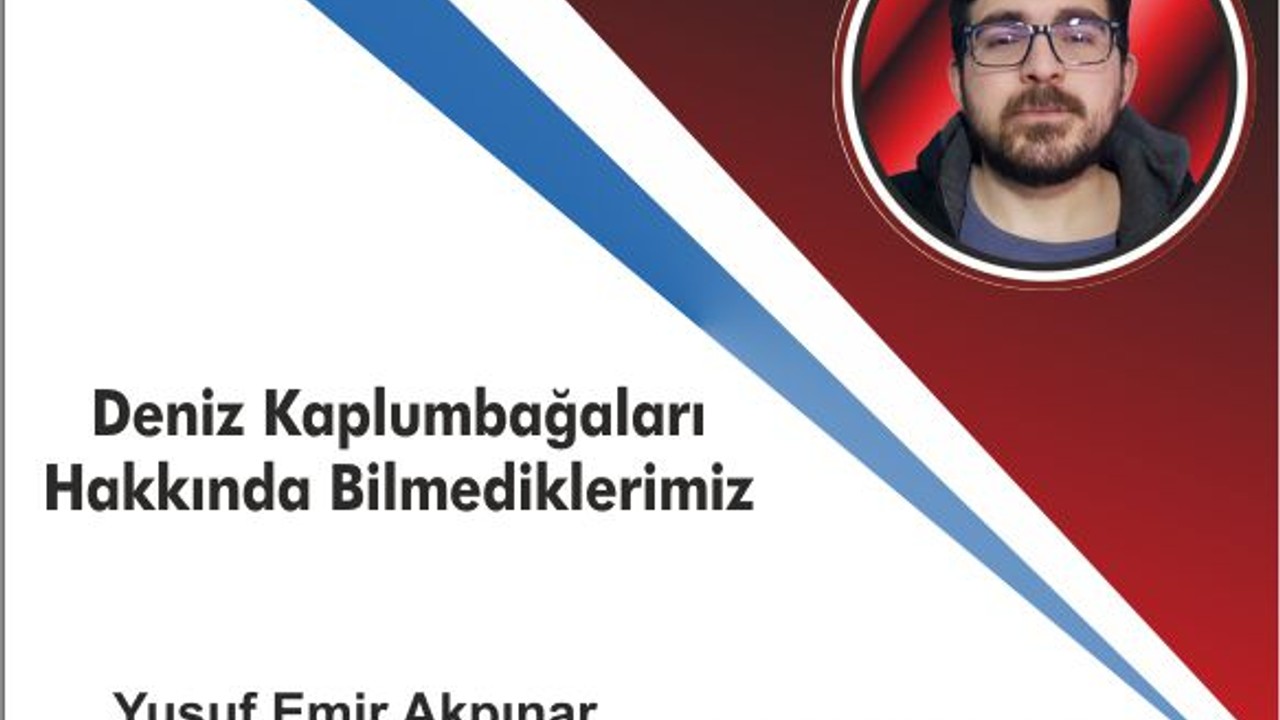 Deniz Kaplumbağaları Hakkında Bilmediklerimiz