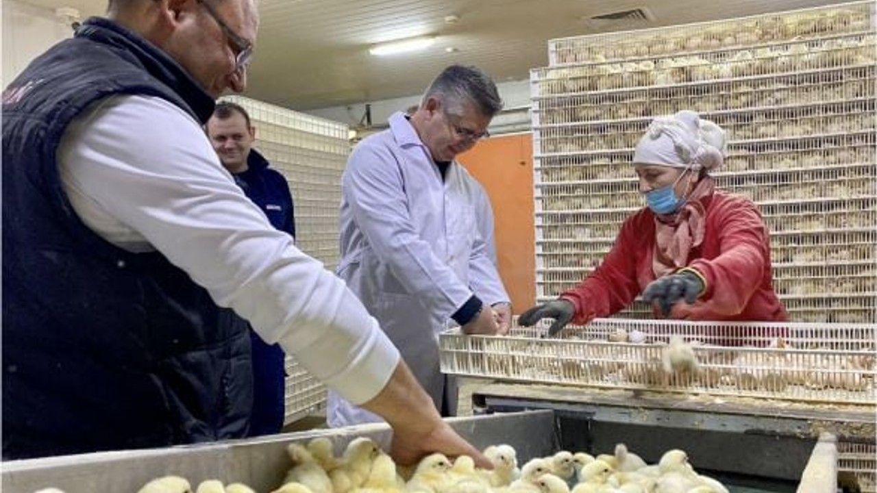 Türkiye’nin En Büyük Broiler Üssü Balıkesir'de
