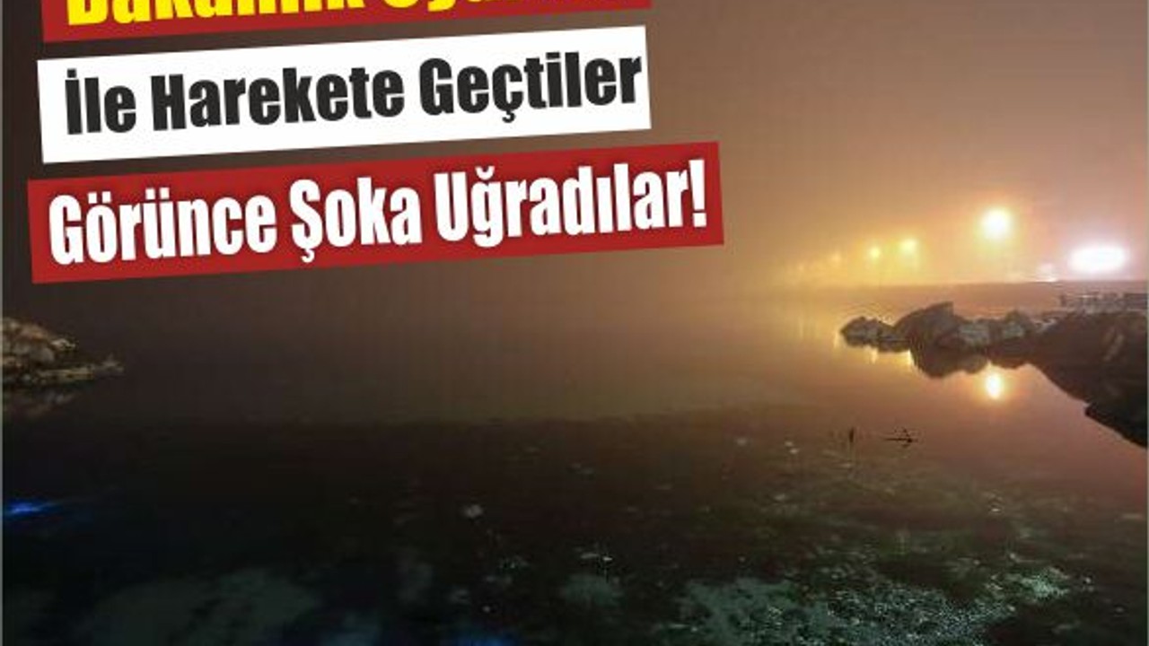 Denizin Dibinde Korkutan Manzara