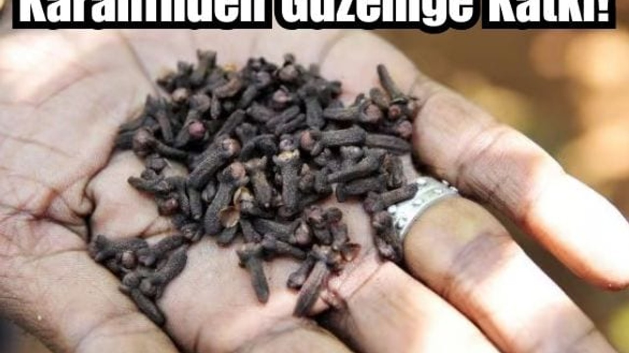 Balıkesir'de Karanfil Güzelliğe Katkıda Bulunuyor!
