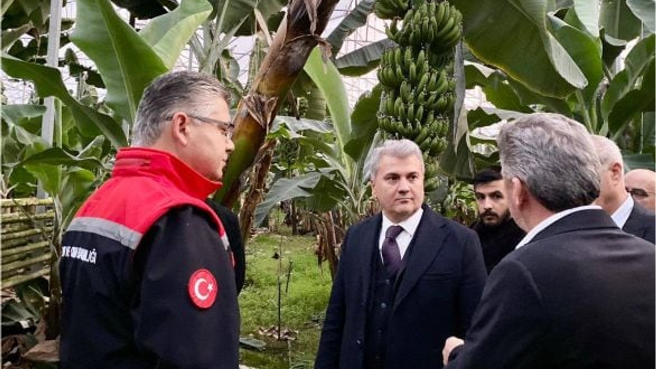 Canbey ve Alkan Balıkesir'in Muz Serasında