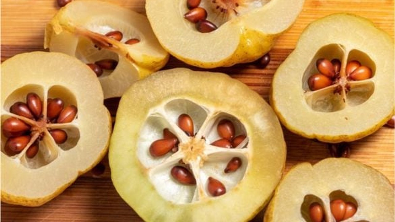 Balıkesir'de Kışın Cilt Bakımında Ayva Çekirdeği Kullanılıyor