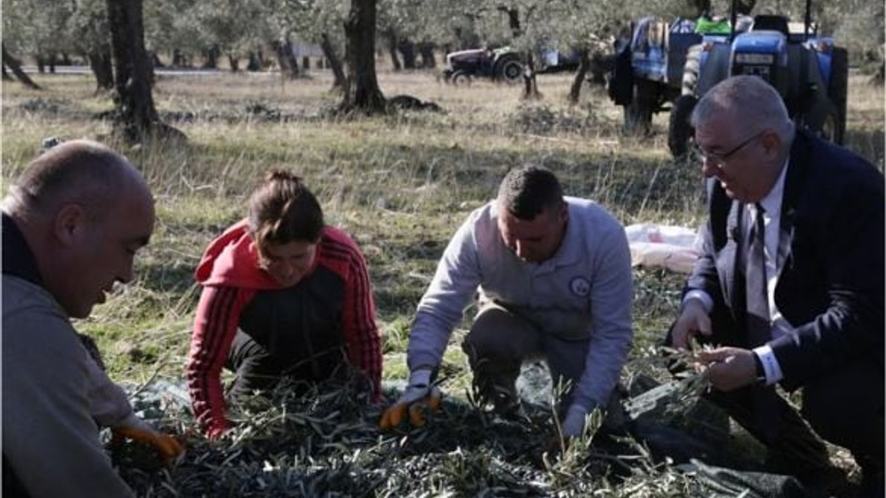 Başkan Ertaş'tan Zeytin İşçilerine Yeni Yıl Morali