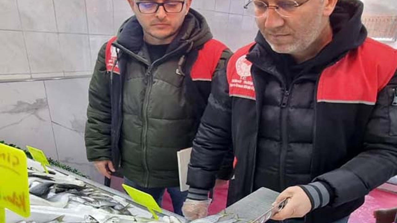 Balıkesir’de Eş Zamanlı Su Ürünleri Denetimleri Başlatıldı