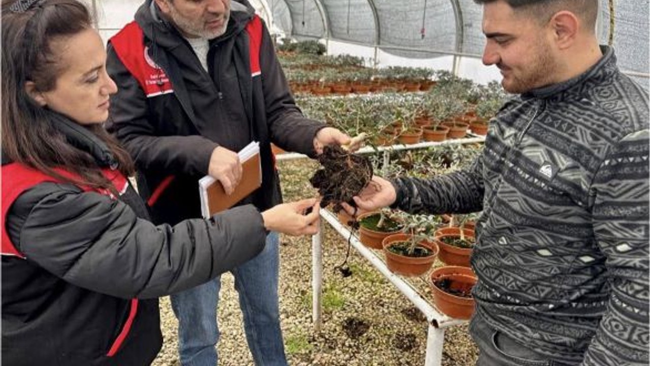 Balıkesir’de Fidan Üreticilerine Teknik Destek