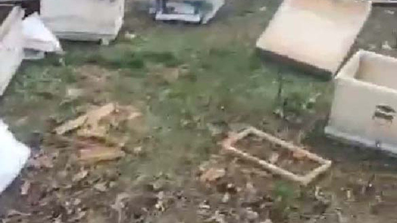 Gönen'de Ayılar Arı Kovanlarına Saldırdı
