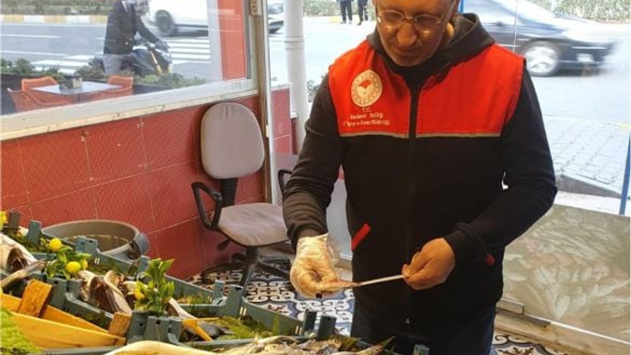 Balıkesir’de Balıklar Metreyle Ölçüldü