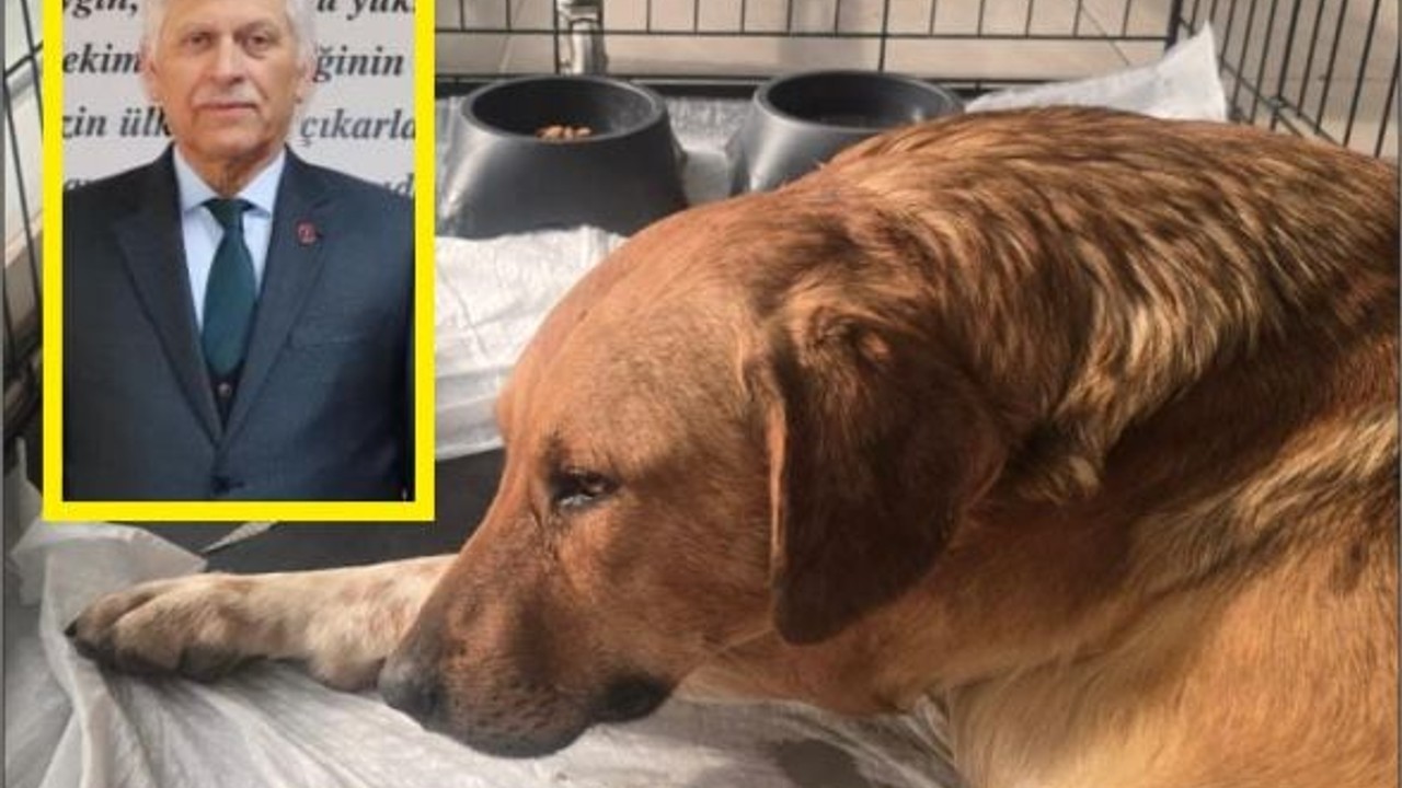 Silahla Vuruldu Veteriner Hekim Açıklama yaptı